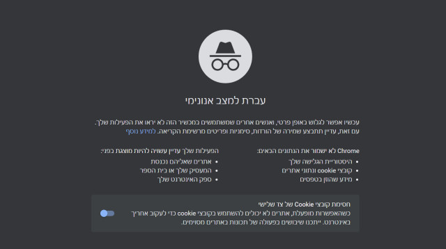 גלישה אנונימית באמצעות דפדפן גוגל כרום (צילום: צילום מסך)