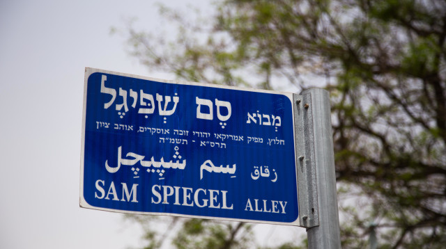 סם שפיגל  (צילום: Yossi Zwecker)