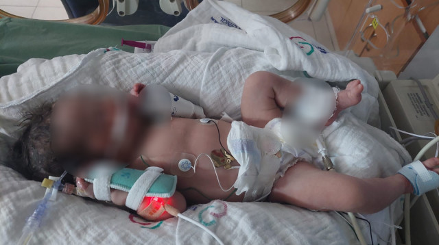 הפעוטה ממחדל ההפריה - סופיה (צילום: באדיבות המשפחה)