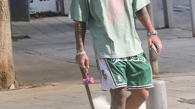 ג'וזי זירה (צילום: פול סגל)