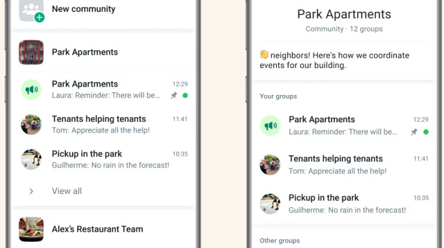 החידוש ב-WhatsApp  (צילום: Meta)