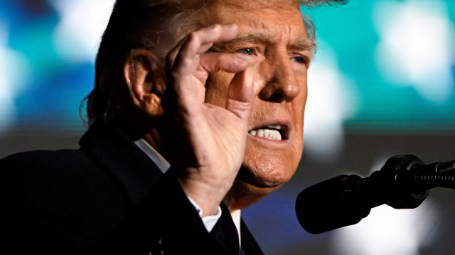 דונלד טראמפ  (צילום: רויטרס)
