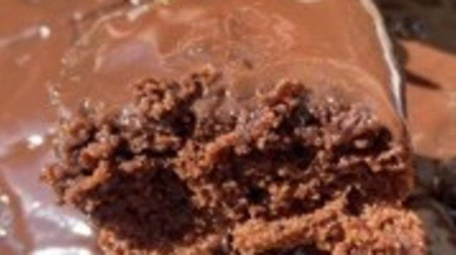 עוגת שוקולד עשירה (צילום: קורל חוטה)