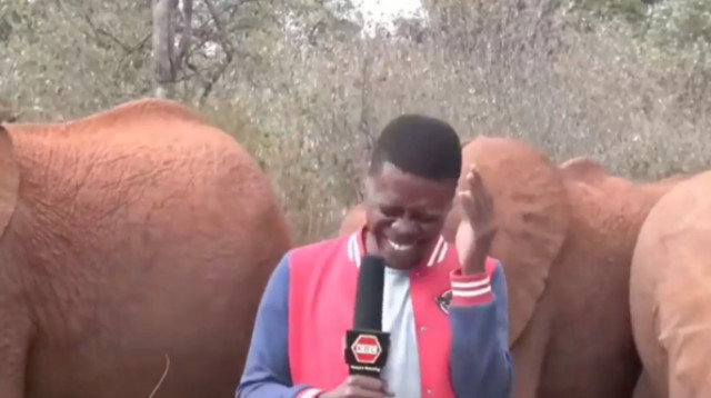 קטעה את השידור (צילום: מתוך אינסטגרם)