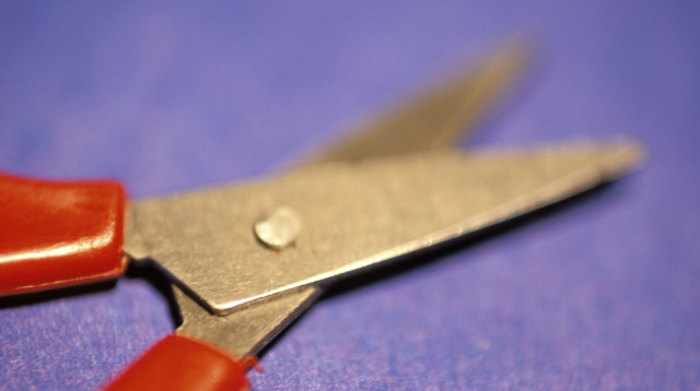 מספריים, אילוסטרציה (צילום: אינגאימג')