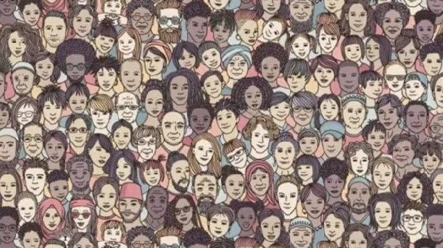 איפה החתול? מעט מאוד גולשים מצאו אותו (צילום: מתוך טיקטוק)