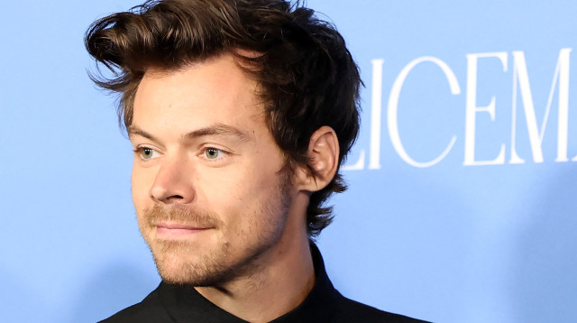 הארי סטיילס (צילום: רויטרס)