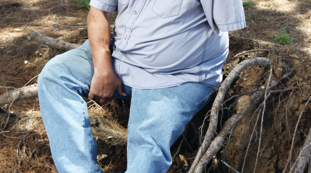 מעוזיה סגל (צילום: אריאל בשור)