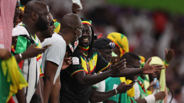 אוהדי סנגל חוגגים (צילום: REUTERS/Amr Abdallah Dalsh)