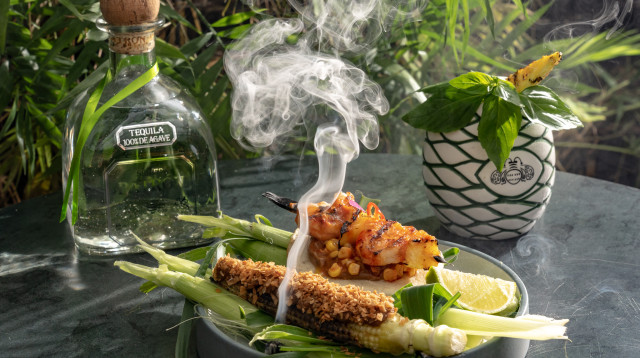 תמנע (צילום: איתמר גינזבורג)