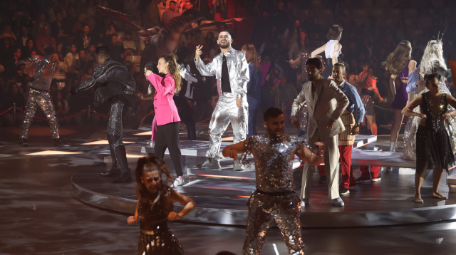 פסטיגל (צילום: אורית פניני)