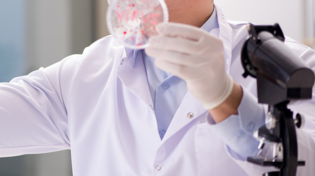 אבעבועות הקוף (צילום: אינגאימג')