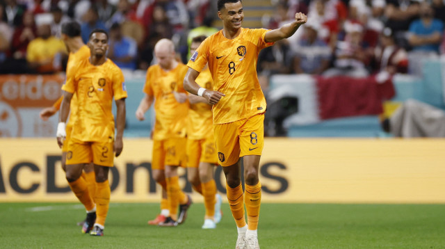 קודי גאקפו שחקן נבחרת הולנד חוגג שער (צילום: רויטרס)