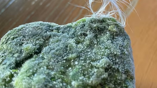 נוצה בשקית תרד קפוא של סנפרוסט (צילום: תמונות גולשים, נטלי שטיין חרמון)