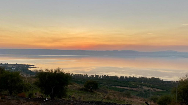 רמת הגולן  (צילום: אבשלום ששוני)