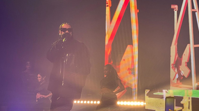 טייגה בהאנגר 11 (צילום: פרטי)