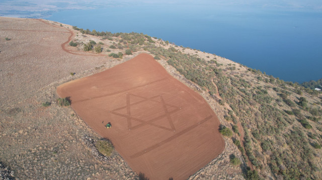 דגל ישראל בשדה החיטה (צילום: אסף טריפון)