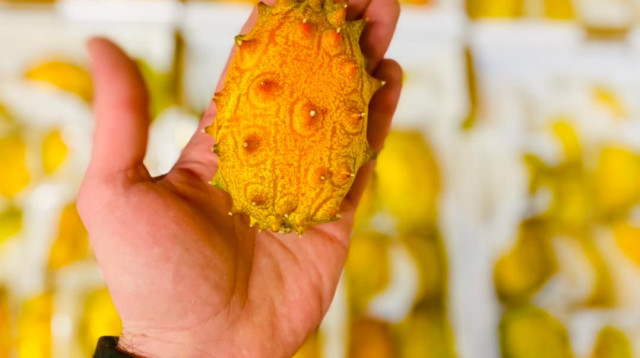 משק פיין (צילום: פייסבוק)