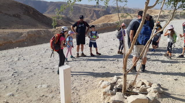 מטיילים בנחל דרגה. צילום עדנאן רשיידה רשות הטבע והגנים (צילום: עדנאן רשיידה רשות הטבע והגנים)