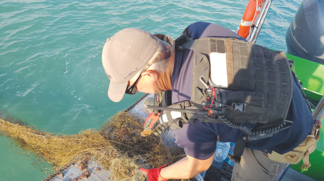 רשת הדייג (צילום:  זיו נדר, רשות הטבע והגנים)