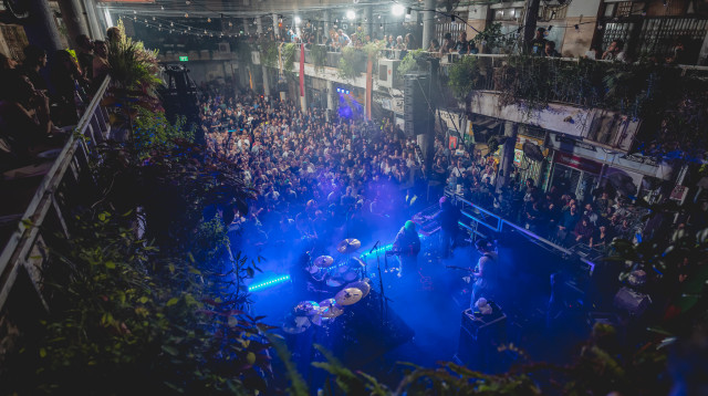 פסטיבל הג'אז בתל אביב (צילום: אריאל עפרון)