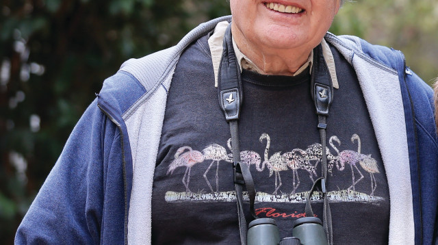 יוסי לשם  (צילום: אורן כהן)