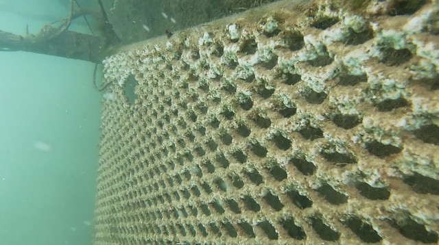 פיילוט ראשוני (צילום: החברה הממשלתית להגנות מצוקי חוף הים התיכון)