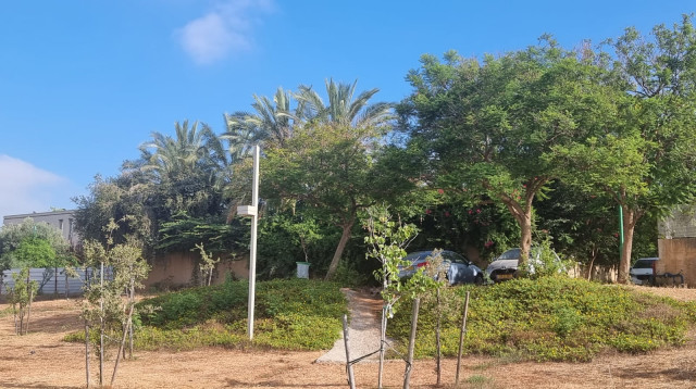 שטח המריבה, אליו פלש גלבוע. הנושא הגיע עד לעליון (צילום: אלון חכמון)