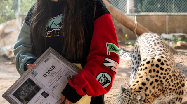 נועה וקירל בספארי. "סמל להעצמה נשית" (צילום: דוברות הספארי)