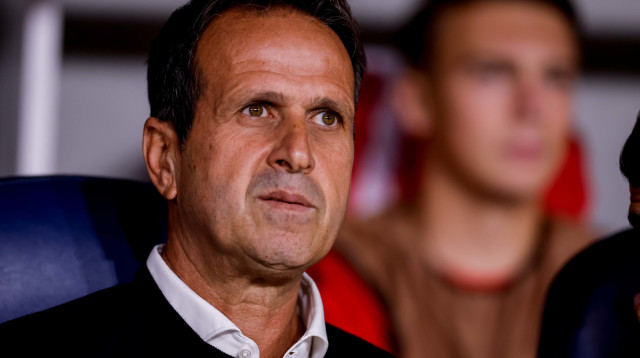 "צריך לחלק את העומס". רוני לוי (צילום: מאור אלקסלסי)