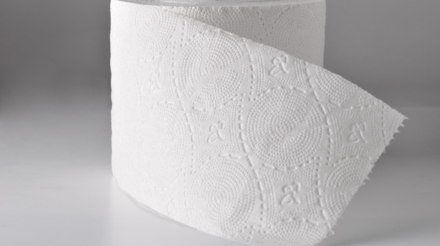 כך השימוש בנייר טואלט פוגע בכם (צילום: אינג'אימג')