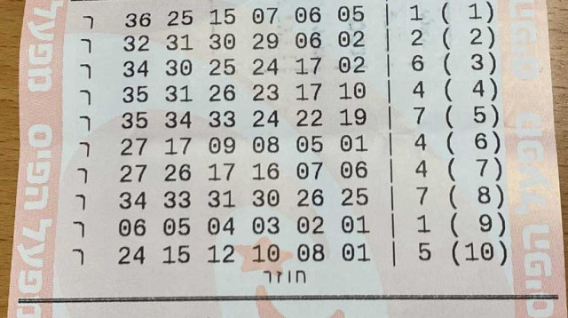 הטופס הזוכה בלוטו (צילום: מפעל הפיס)