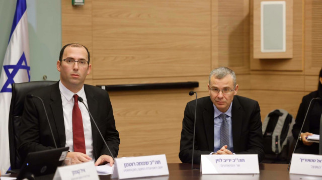 יריב לוין, שמחה רוטמן בוועדת חוקה, חוק ומשפט (צילום: מרק ישראל סלם)