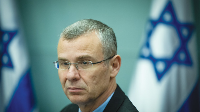 יריב לוין (צילום: יונתן זינדל פלאש 90)