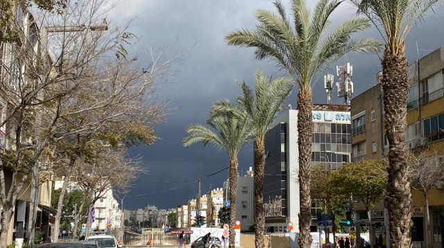 חורף, צפון תל אביב  (צילום: אבשלום ששוני)