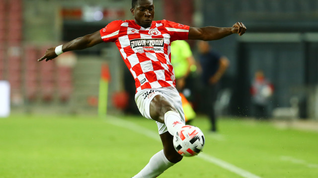 אקולטסה (צילום: לירון מולדובן)