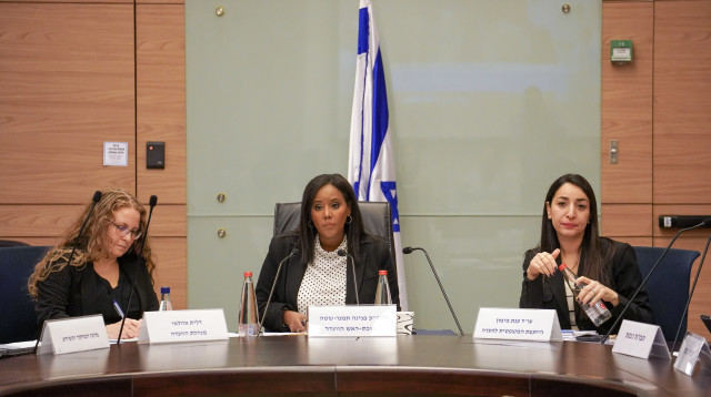 הוועדה למעמד האישה דנה בניתוח קיסרי צרפתי (צילום: דני שם טוב, דוברות הכנסת)