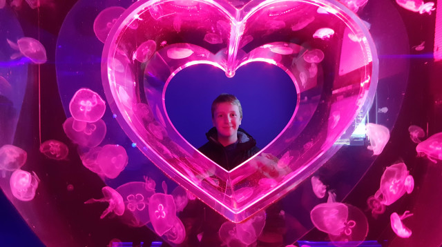 מוזיאון המדוזות בקייב (צילום: אורית גלפרין)