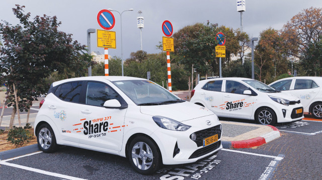   שלמה סיקסט Share (צילום: עזרא לוי)