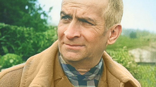 לואי דה פינס (צילום: Marisa Rastellini)