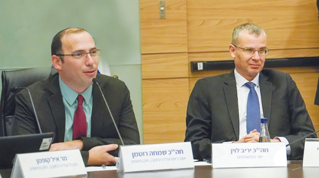 לוין ורוטמן בדיון בוועדת החוקה # צילום (צילום: דני שם טוב, דוברות הכנסת)