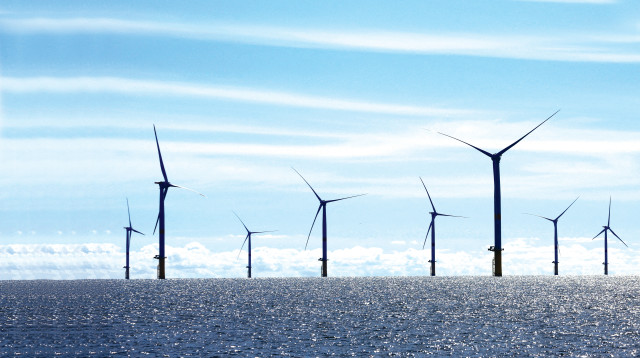 חוות טורבינות רוח בצרפת (צילום: רויטרס)