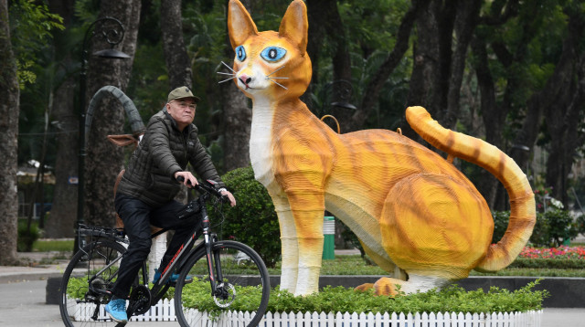 שנת החתול בויאטנם (צילום: gettyimages)