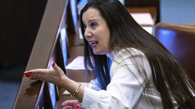 טלי גוטליב (צילום: יונתן זינדל, פלאש 90)