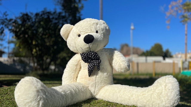 מחפשים מתנה ענקית ולא רגילה לאירוע קרוב? דובי ענק הוא מה שאתם צריכים! (צילום: יח"צ)