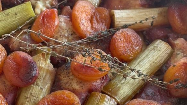 פרגיות במישמש וכרישה (צילום: לירון ספיר)