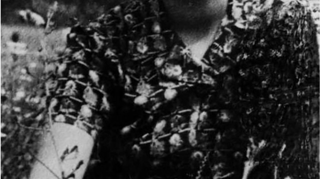 חנה סנש בגיל 18  (צילום: הספרייה הלאומית)