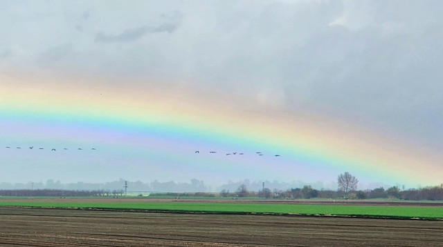 קשת ועגורים באגמון החולה (צילום: עינבר שלומית רובין, קק"ל)