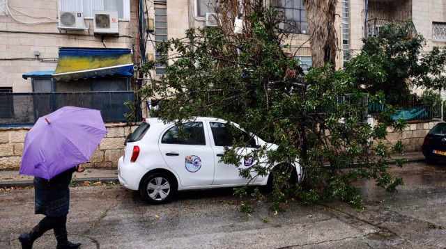 גשם בירושלים  (צילום: מארק ישראל סלם)