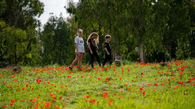 פסטיבל דרום אדום (צילום: אייל בריברם)